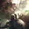 Solasta Crown of the Magister 索拉斯塔 魔法师之冠 [DLC 解锁] [DLC Unlock] [Steam] [Windows & SteamOS & macOS]