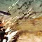 Steel Division 2 钢铁之师 2 [DLC 解锁] [DLC Unlock] [Steam] [Windows & SteamOS]
